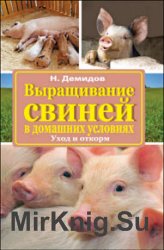 Выращивание свиней в домашних условиях. Уход и откорм