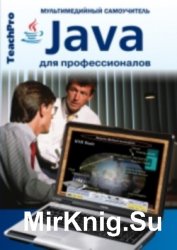 Программирование. Java для профессионалов. Мультимедийный курс