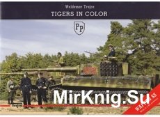 Tigers in Color