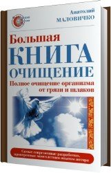 Большая книга-очищение. Полное очищение организма от грязи и шлаков