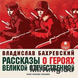 Рассказы о героях Великой Отечественной (аудиокнига)