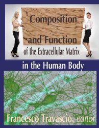 Composition and Function of the Extracellular Matrix in the Human Body