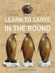 Learn to Carve in the Round