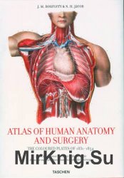 Atlas of Human Anatomy and Surgery / Атлас по анатомии человека и хирургии