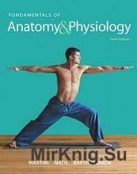 Fundamentals of Anatomy & Physiology (10th Edition)