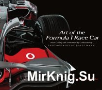 Art of the Formula 1 Race Car