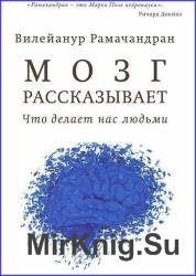 Мозг рассказывает. Что делает нас людьми