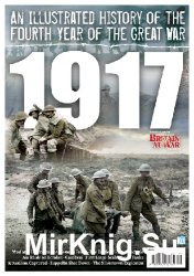An Illustrated History of the Fourth Year of the Great War: 1917 (Britain At War Special)