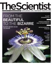 The Scientist – February 2017