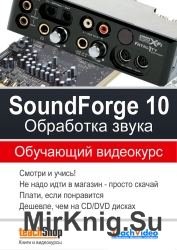 Sound Forge 10. Обработка звука (обучающий курс)
