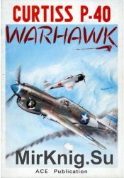 Pod Lupa - Curtiss P-40 Warhawk