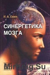 Синергетика мозга