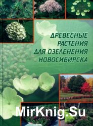 Древесные растения для озеленения Новосибирска