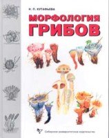 Морфология грибов