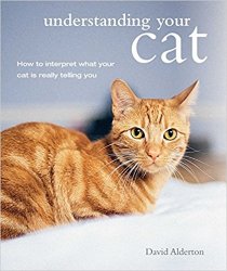 Understanding Your Cat: How to interpret what your cat is really telling you