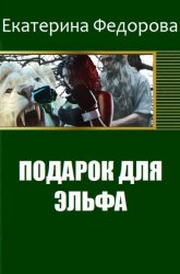 Подарок для эльфа