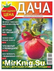 Дача №12 2017