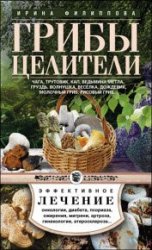 Грибы-целители. Чага, трутовик, кап, ведьмина метла, груздь, волнушка, веселка, дождевик, молочный гриб, рисовый гриб