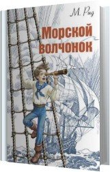 Морской волчонок (Аудиокнига)