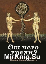 От чего грехи? По трудам святого праведного Иоанна Кронштадтского