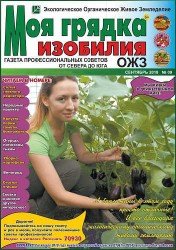 Моя грядка изобилия №9 2018