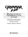 English Grammar in Use: Reference and Practice for Intermediate Students of English