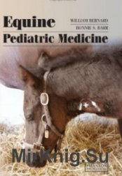 Equine Paediatric Medicine