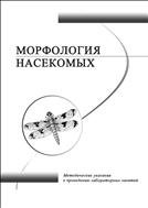 Морфология насекомых: методические указания к проведению лабораторных работ 