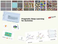 Pragmatic Deep Learning for Dummies