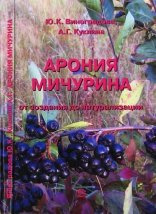 Арония Мичурина - от создания до натурализации