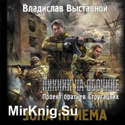 Зона приема (Аудиокнига)