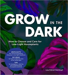 Grow in the Dark: How to Choose and Care for Low-Light Houseplants