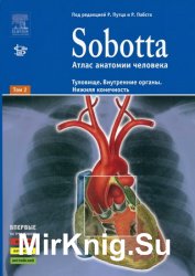 Sobotta: Атлас Анатомии Человека (В 2-Х Томах + Дополнительные.