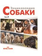 Собаки. Энциклопедия. Часть 2