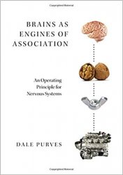 Brains as Engines of Association: An Operating Principle for Nervous Systems