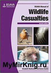 Manual of Wildlife Casualties. 2nd Edition