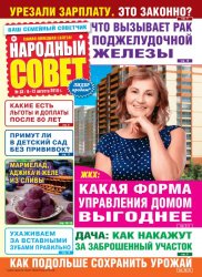 Народный совет №33 2019