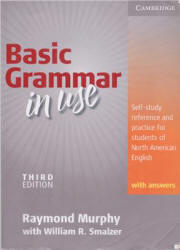 American Basic Grammar in Use