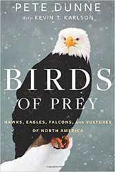 Birds of Prey: Hawks, Eagles, Falcons, and Vultures of North America