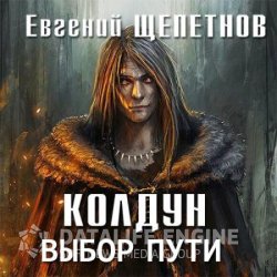 Колдун. Выбор пути (Аудиокнига)