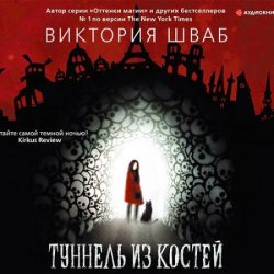 Туннель из костей (Аудиокнига)