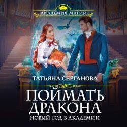 Поймать дракона. Новый год в Академии (Аудиокнига)