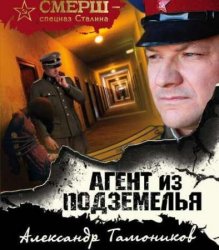 Агент из подземелья (Аудиокнига) читает Мозгунов Александр