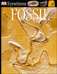 Fossil