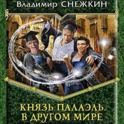 Князь Палаэль. В другом мире (Аудиокнига)