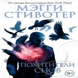 Похитители снов (Аудиокнига)