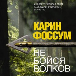 Не бойся волков (Аудиокнига)
