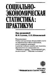 Социально-экономическая статистика. Практикум