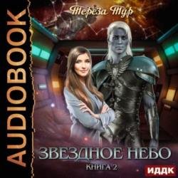 Звездное небо. Книга 2 (Аудиокнига)
