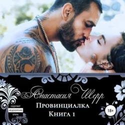 Провинциалка. Книга первая (Аудиокнига)